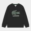 Lacoste LOGO - Sweatshirt - Noir