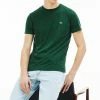 Lacoste T-shirt Basique - Evergreen