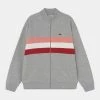 Lacoste Sweat à Capuche Zippé - Argent Chine/multi-coloured