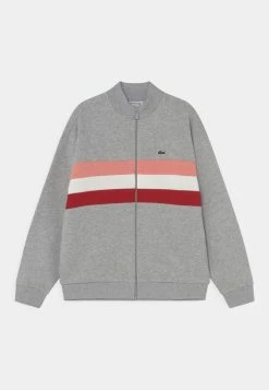 Lacoste Sweat à Capuche Zippé - Argent Chine/multi-coloured