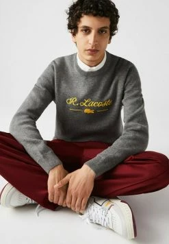 Lacoste PULLY - Pullover - Gris Chine -Lacoste Soldes Magasin 28be1dfb459b43c3b35011ffd6523475