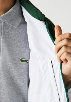 Lacoste Veste De Survêtement - Vert Blanc -Lacoste Soldes Magasin 3d7be1006c04457abe08cacb93bb307b