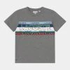 Lacoste T-shirt Imprimé - Heather Wall/multicoloured