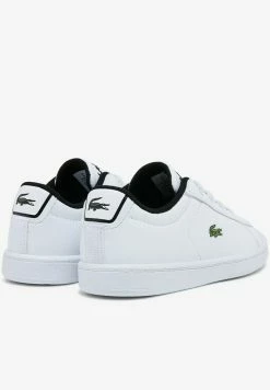 Lacoste CARNABY EVO - Baskets Basses - Wht/blk -Lacoste Soldes Magasin 40c2b47792aa495aaa58449e3e1329ee