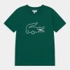 Lacoste TEE LOGO UNISEX - T-shirt Imprimé - Dark Green