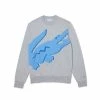 Lacoste Sweatshirt - Gris Chine