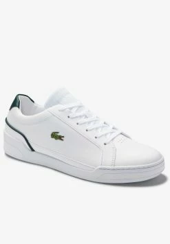 Lacoste Baskets Basses - Wht/dk Grn 7 Lacoste Baskets Basses - Wht/dk Grn -Lacoste Soldes Magasin 6184405999ce413f8766ac94750ed2f7
