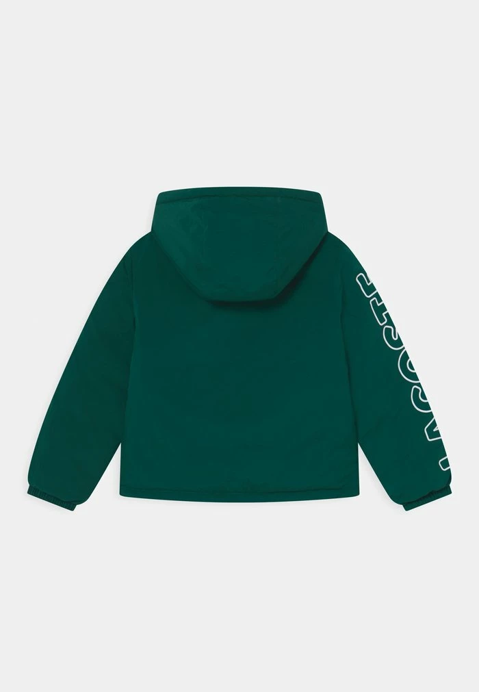 Lacoste Veste D'hiver - Swing 2 Lacoste Veste D'hiver - Swing – Image 2