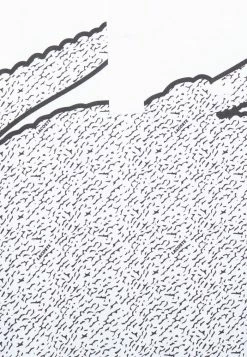 Lacoste Polo - White -Lacoste Soldes Magasin 6feae824f63d4bab87555fc434fff384