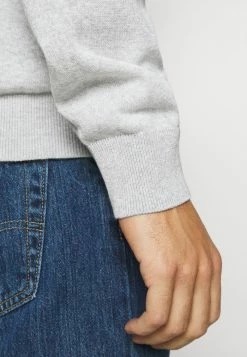 Lacoste Pullover - Argent Chine -Lacoste Soldes Magasin 9ec71a971dc34621b9c8f793350f3a35