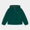 Lacoste Veste D'hiver - Swing