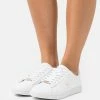 Lacoste CARNABY EVO - Baskets Basses - White/gold