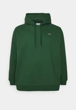 Lacoste PLUS - Sweat à Capuche - Green
