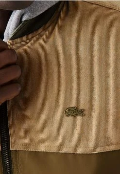 Lacoste Blouson Bomber - Vert/kaki/beige/orange -Lacoste Soldes Magasin b9a61346fa8a4b41afd8b679429583af