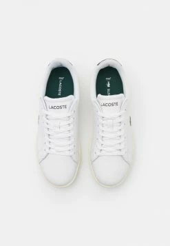 Lacoste CARNABY EVO - Baskets Basses - White/dark Green -Lacoste Soldes Magasin ddf023d2317442dda35b8dcee1771cfb